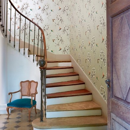 paper_pintat_oçells_amazilia_harlequin_111058