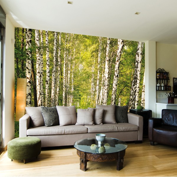 Fotomural Birkenwald 8-301