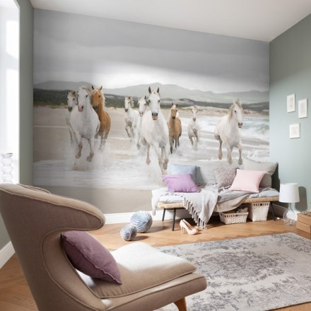Fotomural Cavalls Blancs 8-986 