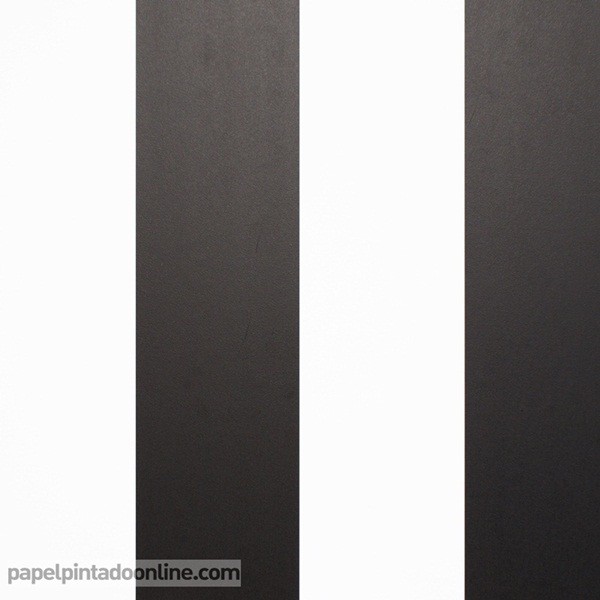 PAPER PINTAT RATLLES 905