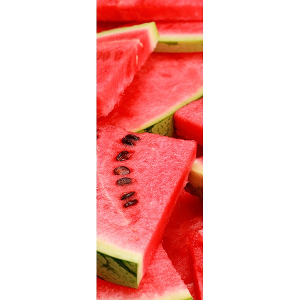 fotomural-sindria-nevera-de-vinil-n059 (1)