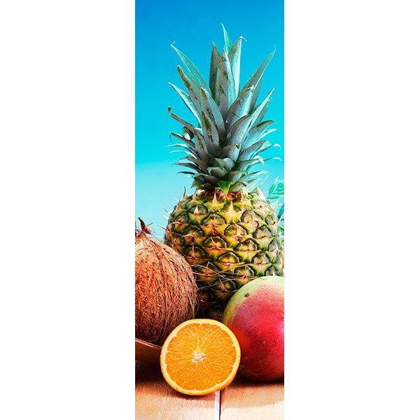 fotomurals-neveres-de-vinil-n058 (1)