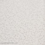 PAPER PINTAT MONTANA MAA_8053_91_18