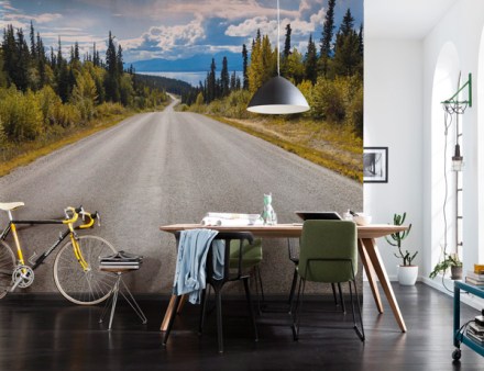 FOTOMURAL ATLIN ROAD Referència 8-532