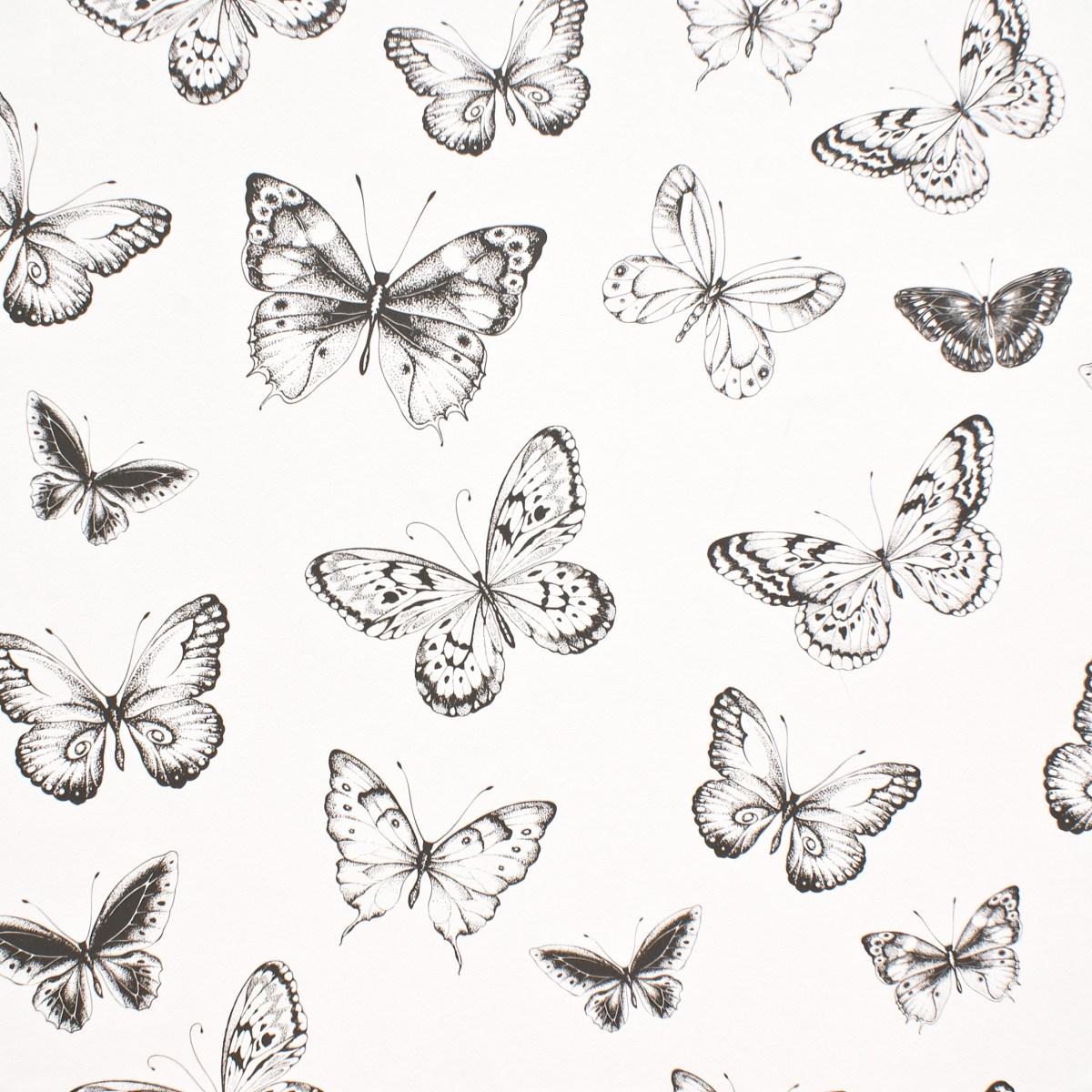 PAPER PINTAT PAPALLONES 955