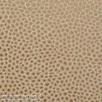 PAPER PINTAT THE ARDMORE 109-6029