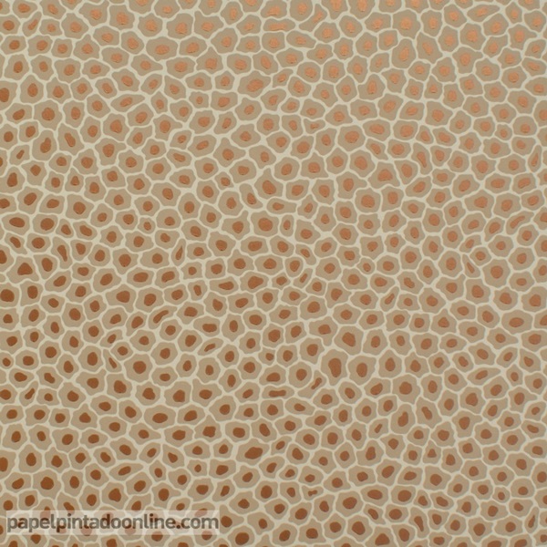 PAPER PINTAT THE ARDMORE 109-6029