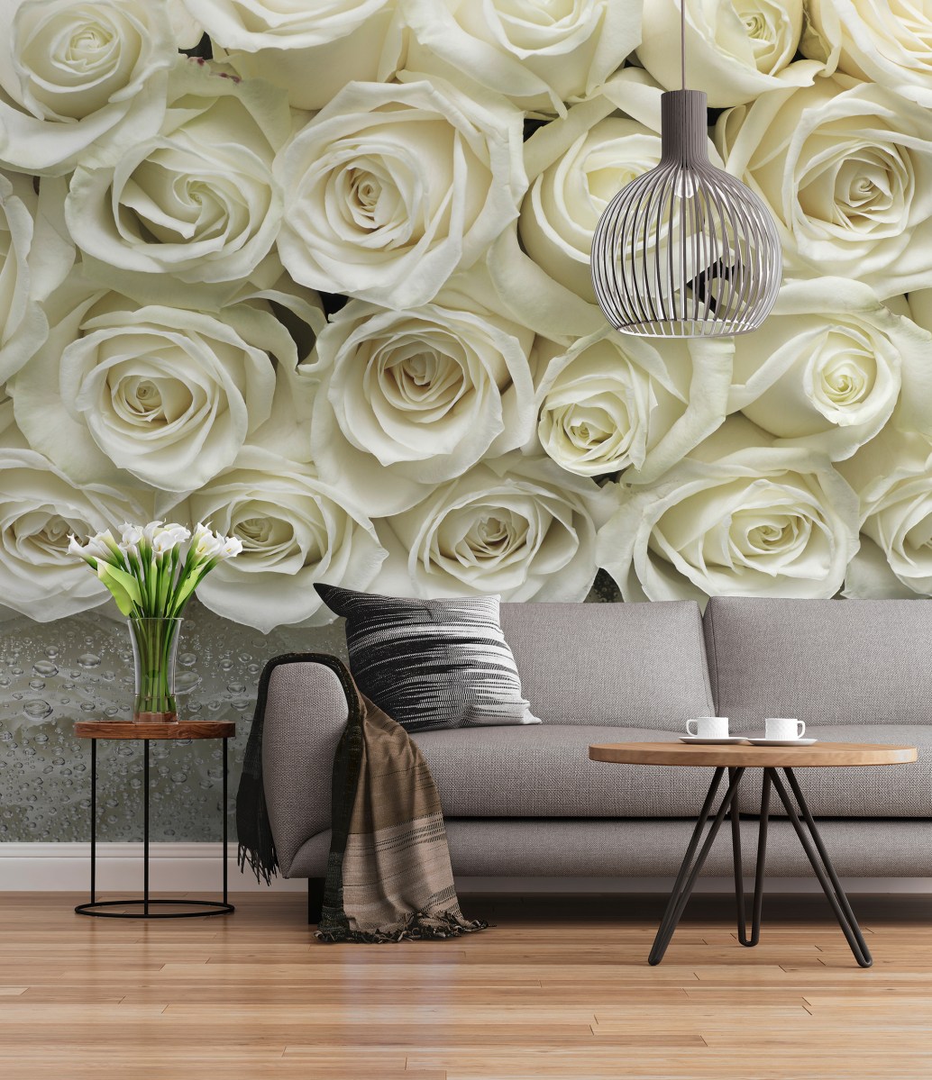 FOTOMURAL A LA ROSE SD314