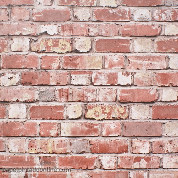 PAPER PINTAT MAÓ 1013