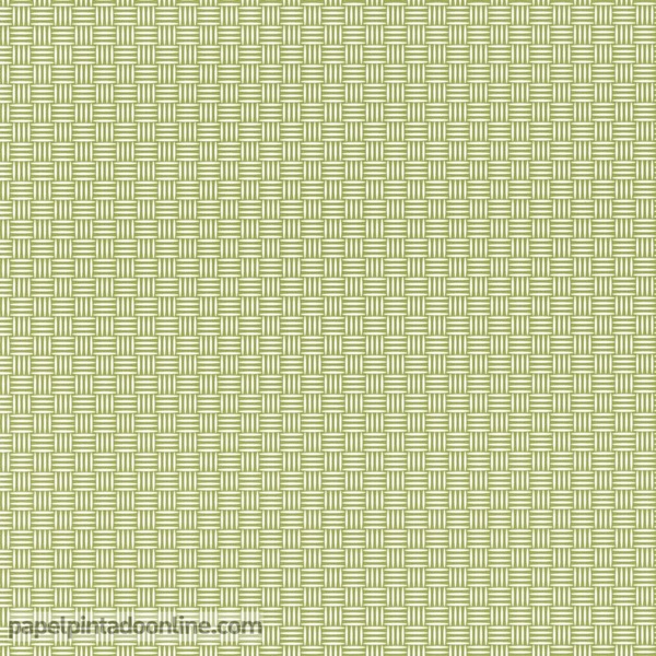 PAPER PINTAT JUNGLE JUN_10000_73_03