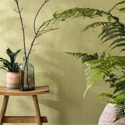 PAPER PINTAT JUNGLE JUN_10000_73_03