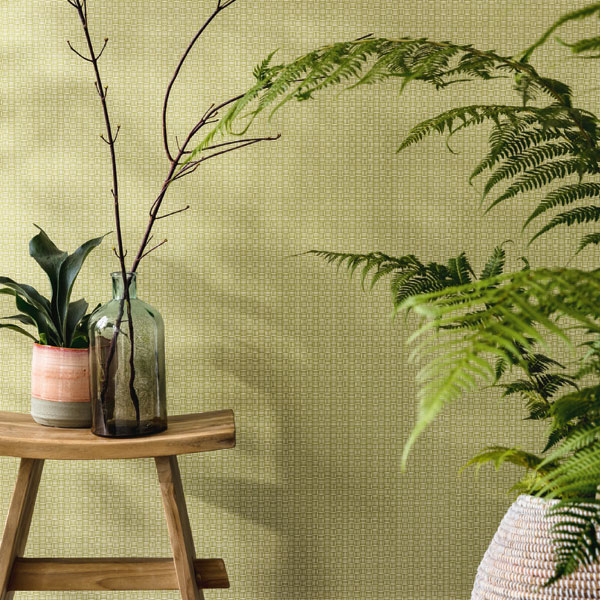 PAPER PINTAT JUNGLE JUN_10000_73_03