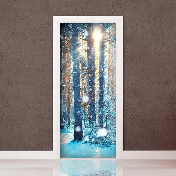 FOTOMURAL PORTA P019